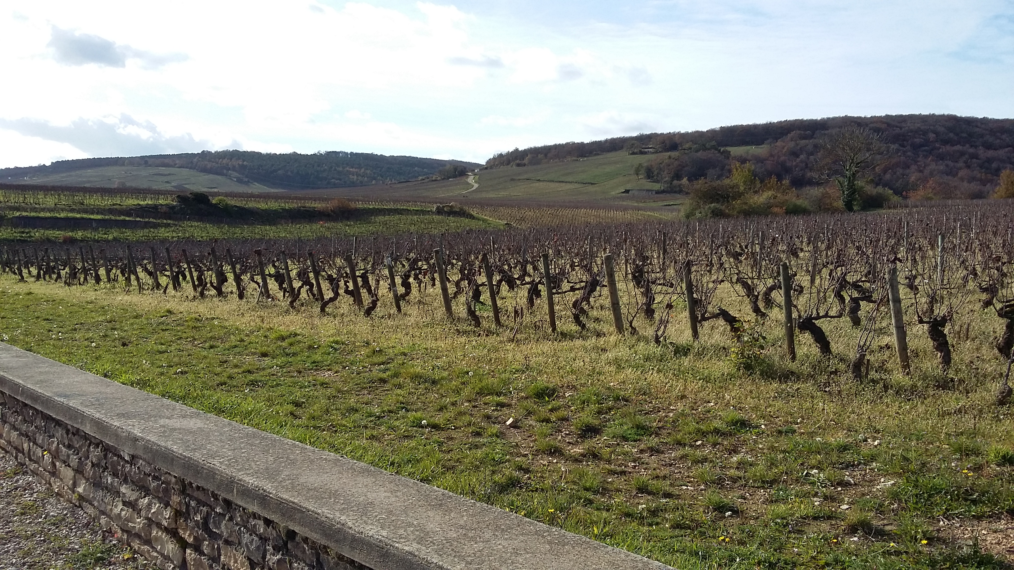 Landscape near the Clos Vougeot