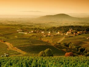 Bienvenue en Bourgogne !